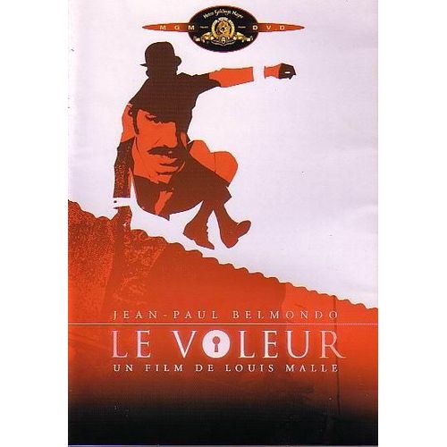 Le Voleur