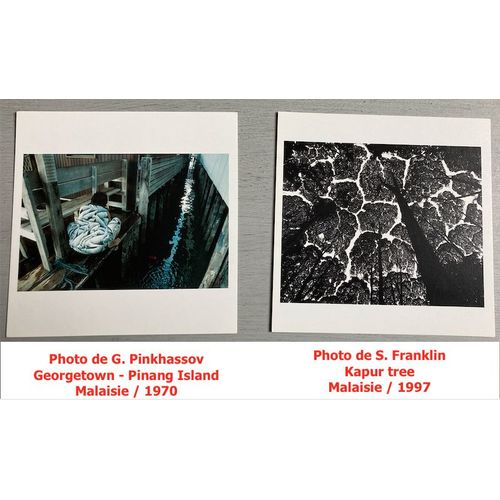 Malaisie : 1 Billet (1 Ringgit) / 2 Cartes (15x15 Cm - Magnum) & 1 Timbre Oblitéré