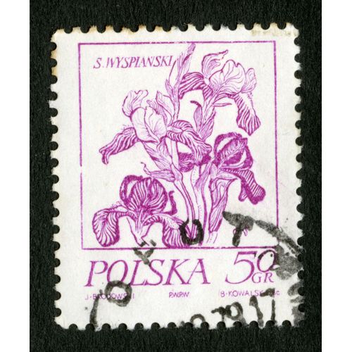 Timbre Oblitéré Polska, S.Wyspianski, Brodowski, Kowalska, 50 Gr
