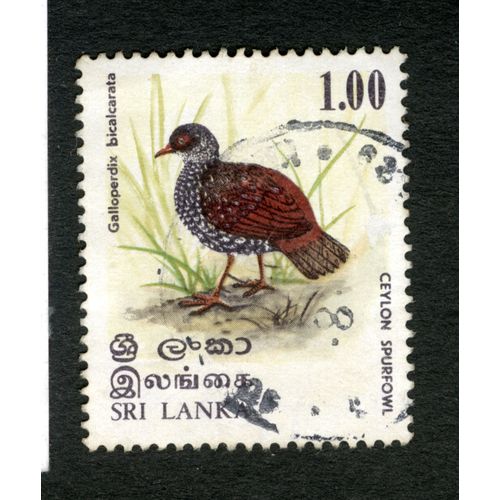 Timbre Oblitéré Sri Lanka, Ceylon Spurfowl, Galloperdrix Bicalcarata, 1,00