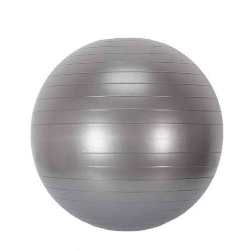 Paris Prix - Balle De Fitness "Remise En Forme" 55cm Gris