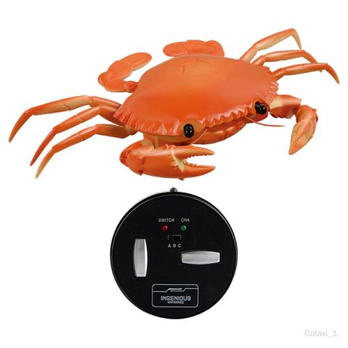 Acheter Jouet électrique de Simulation de crabe pour bébé, jouet