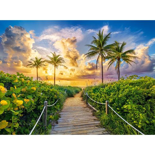 Miami, Usa - Puzzle 3000 Pièces