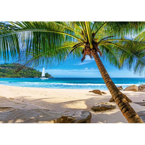 Vacances Aux Îles Seychelles - Puzzle 500 Pièces