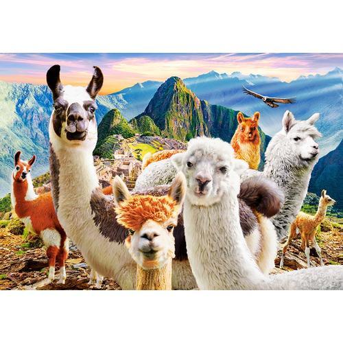 Selfie De Lamas - Puzzle 1000 Pièces