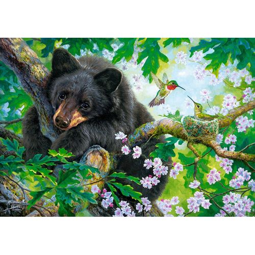 L'ours Et Les Colibris - Puzzle 500 Pièces