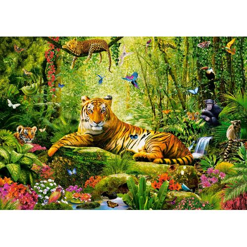 Sa Majesté, Le Tigre - Puzzle 500 Pièces