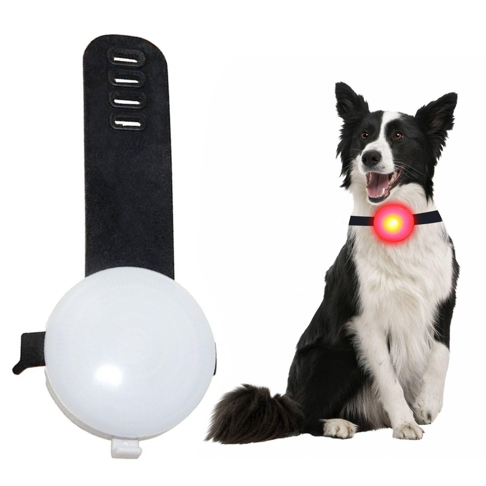 Collier lumineux LED pour chien rechargeable pas cher de qualité