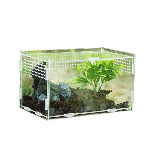 Boîte D'élevage De Reptiles Transparente, Boîte D'alimentation En Acrylique, 360 Degrés, Magnétique, Pour Animaux De Compagnie, Terrarium D'escalade