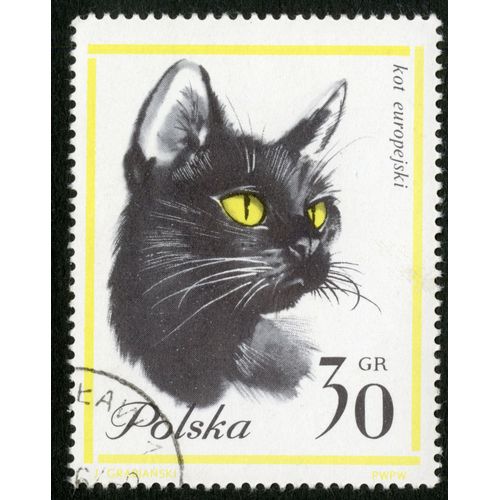 Timbre Oblitéré Polska, Kot Europejski, 30 Gr