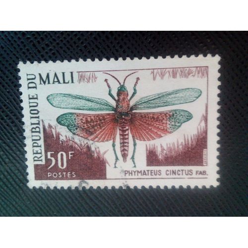 Timbre Mali Yt 103 Sauterelle (Phymateus Cinctus) 1967 ( 030307 )*