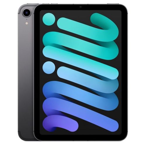 Apple iPad mini Wi-Fi + Cell 256GB Gris sidéral MK8F3FD/A