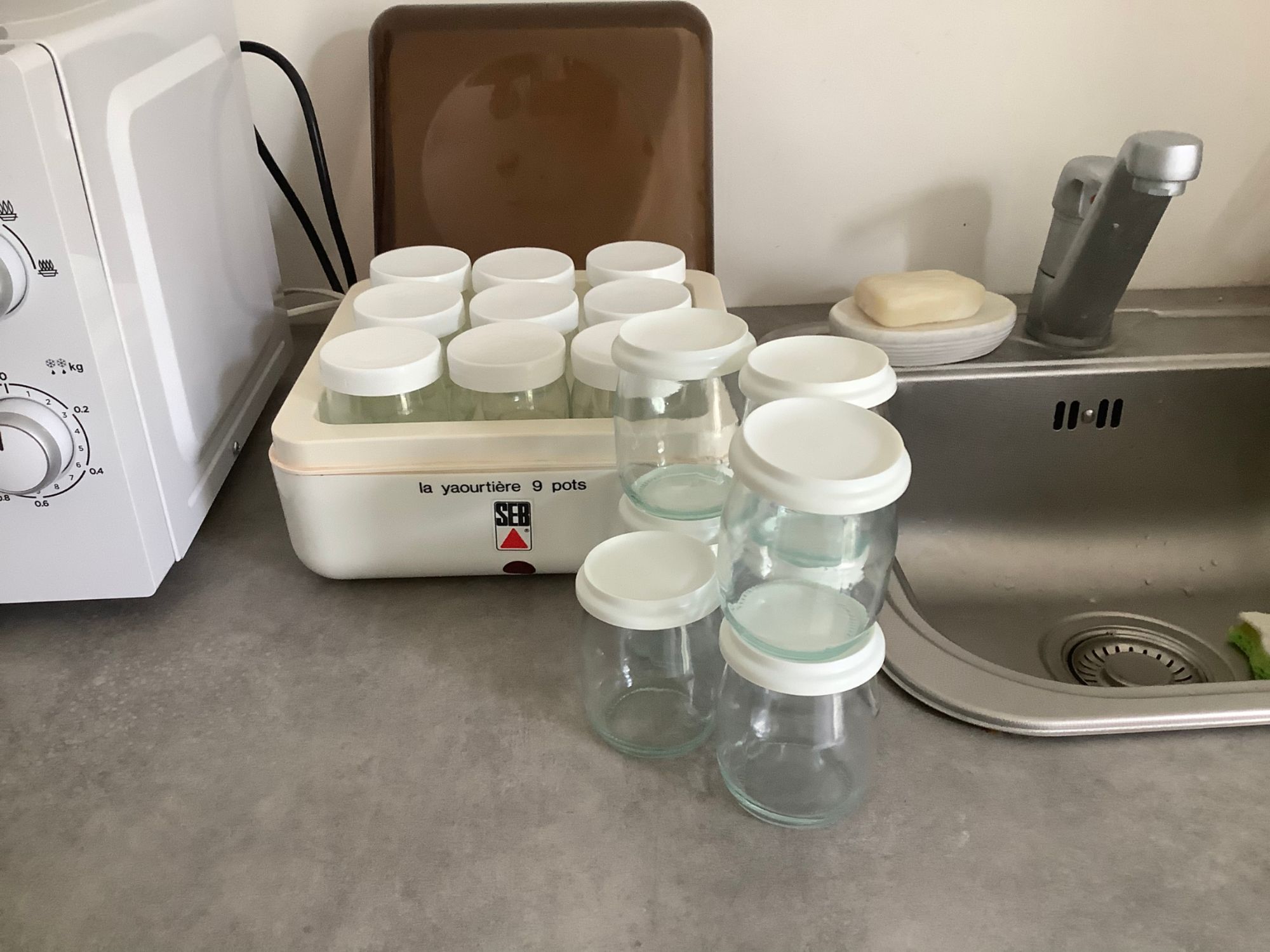 Yaourtiere SEB manuelle