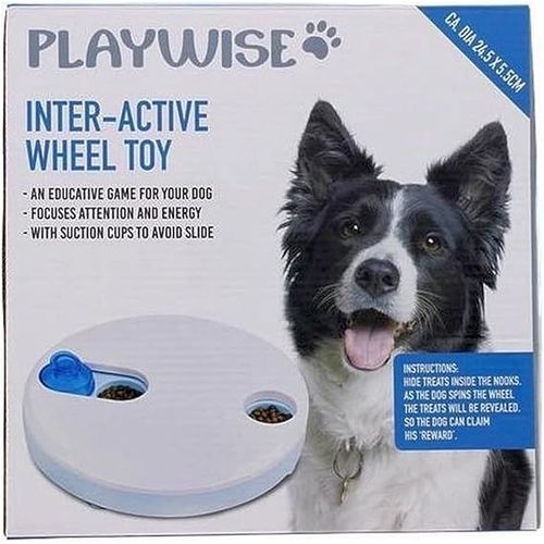Playwise Inter-Active Wheel Toy
