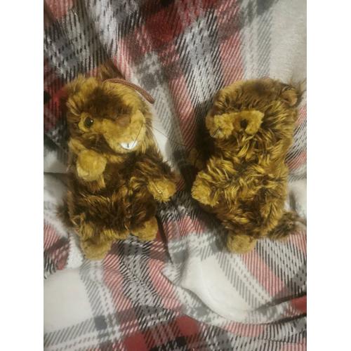 Lot Peluches Marmottes Siffleuses Siffle Marron Chinées Forest Distribution
