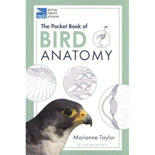 The Pocket Book Of Bird Anatomy