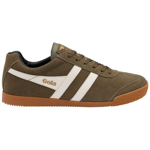 Harrier Suede