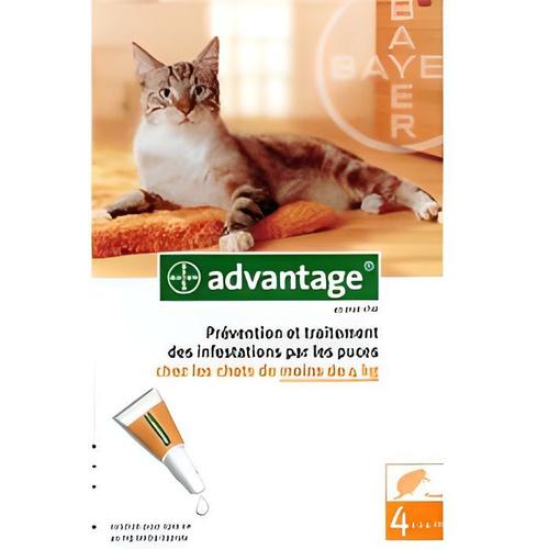 Bayer Advantage 40 Solution Antipuce Pour Chats De