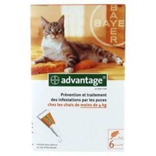 Bayer Advantage 40 Solution Antipuce Pour Chats?