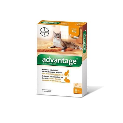 Bayer Advantage 40 Chat/Lapin 0-4 Kg 6 Pipettes Antiparasitaires