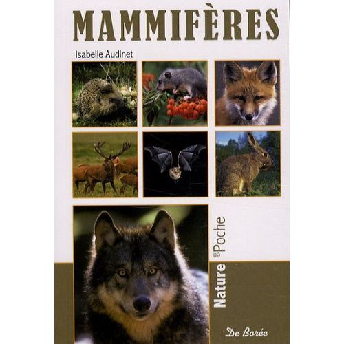 Mammifères