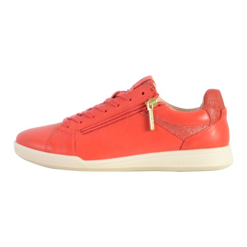 Basket Cuir Pataugas Palme