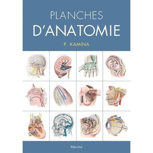 Planches D'anatomie