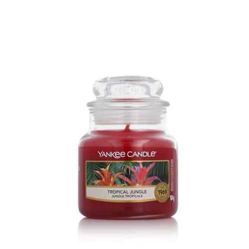 Bougie Jarre En Verre Jungle Tropical Petit Modèle