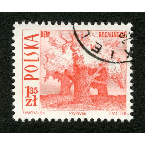 Timbre Oblitéré Polska, Deby Rogalinskie, Michaluk, Miller, 1966, 1,35 Zl