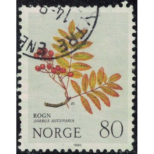 Norvège 1980 Oblitéré Used Arbre Soubus Aucuparia Sorbier Des Oiseleurs Y&t No 781 Su