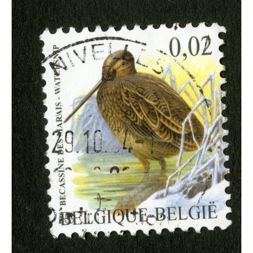 Timbre Oblitéré Belgique, Belgie, Bécassine Des Marais, 0,02