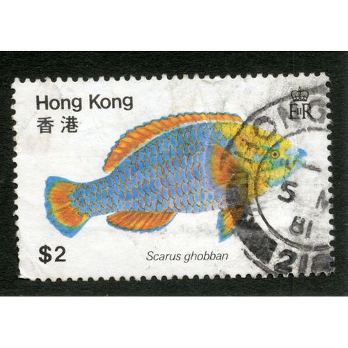 Timbre Oblitéré Hong Kong, Scarus Ghobban, S2, E R