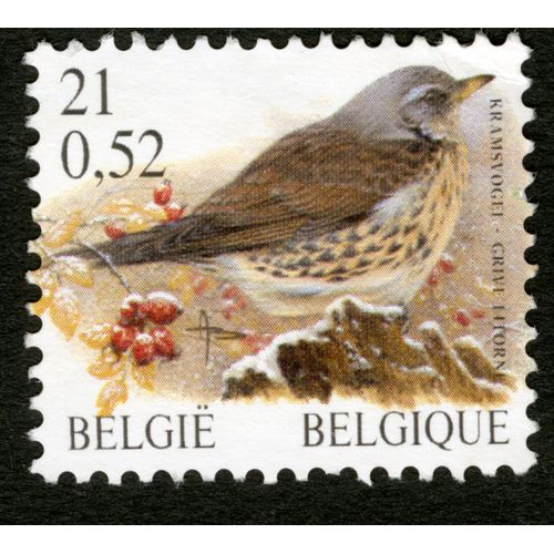 Timbre Oblitéré Belgie, Belgique, Kramsvogel, Grive Litorne, 0,52
