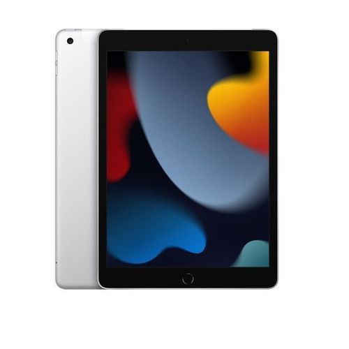 Apple 10.2inch iPad Wi-Fi +Cell 64GB argent MK493FD/A