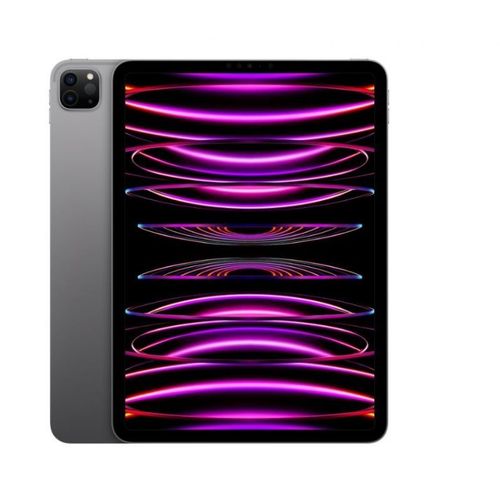 TAB11 Apple iPad Pro 11 Wi-Fi 1TB spacegrau (4.Gen.) *NEW*
