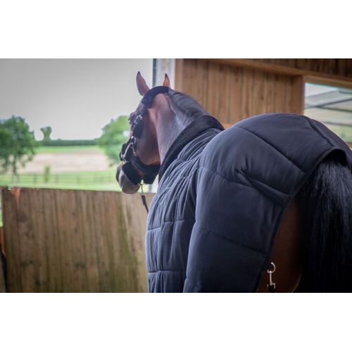 Sous-Couverture Ou Couverture Paddock "Underblancket" Noir, 200g Pour Chevaux