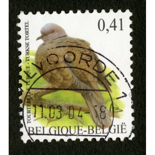 Timbre Oblitéré Belgique, Belgie, Tourterelle Turque, Turkse Tortel, 0,41