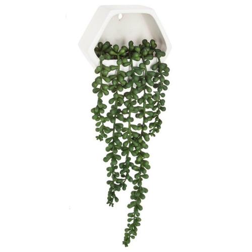 Plante Artificielle Murale "Tombante" 14cm Blanc