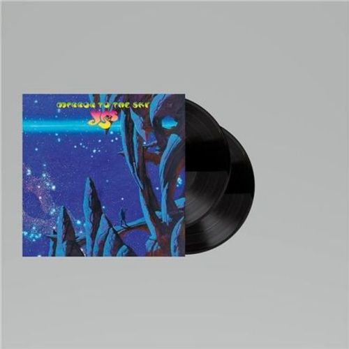 Mirror To The Sky - Vinyle 33 Tours