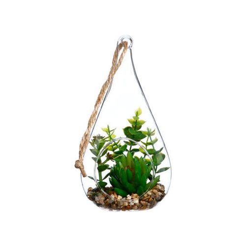 Terrarium en verre, forme Goutte H19.5cm