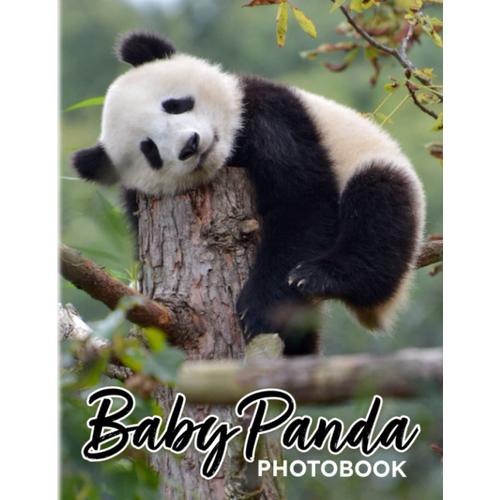 Baby Panda Photobook: Photographers Cute Black And White Mammal With 40 Images | Creative Decor As Gifts For Children, Teens, Adults | For Birthday | To Creatives | Anxiety Relief Gifts