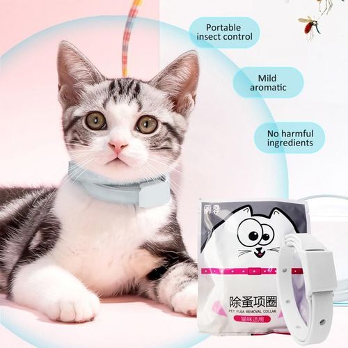 Collier Anti Tiques Pour Chats Et Chiens, 1 Pièce, 3 Mois, Anti Puces, Harnais Anti Moustiques, Répulsif, Fournitures Pour Animaux De Compagnie, Nouveau