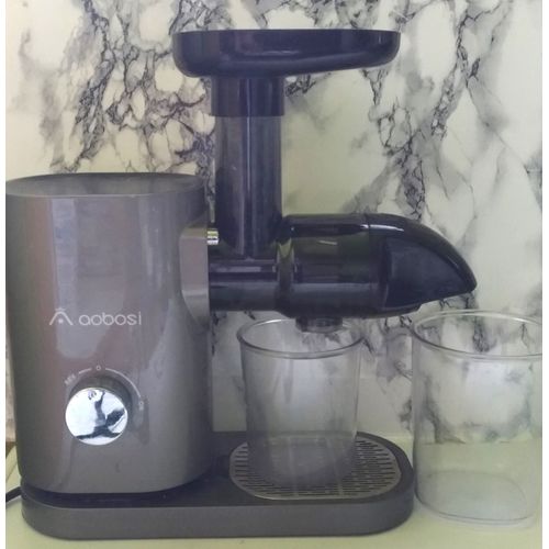 Aobosi Extracteur de Jus de Fruits et Légumes