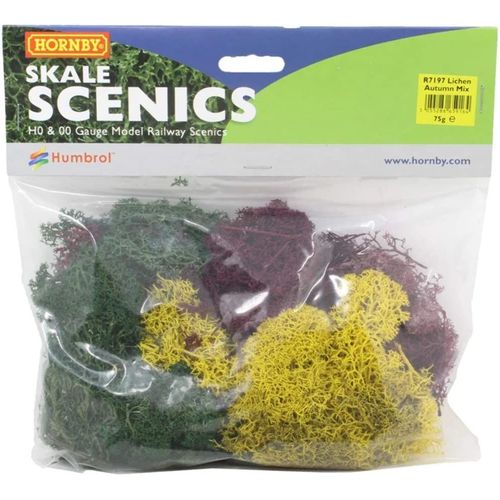 Hornby- Lichen-Large Autumn Mix Grand Autum, R7197, Multicolore-Hornby