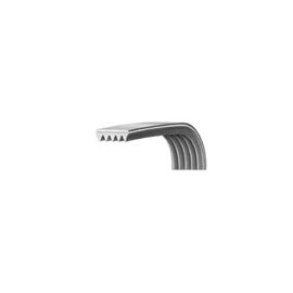 Courroie 1956J3481935818019 pour Lave linge