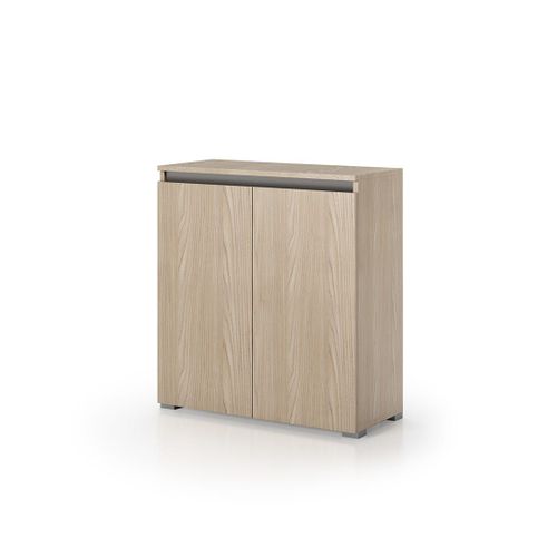 Armoire Polyvalente Effet Bois D'orme 2 Portes