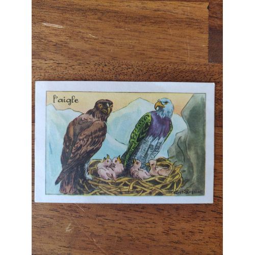 Bon-Point Ancien Aigle - Illustration Calvet-Ragniet, Éditions Éducatives Paris