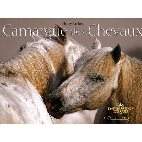 Camargue Des Chevaux