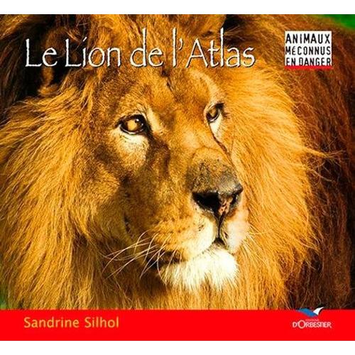 Le Lion De L'atlas