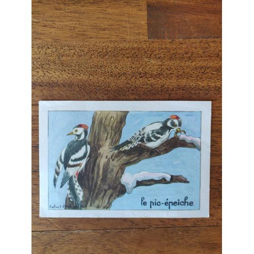 Bon-Point Ancien Pic-Épeiche - Illustration Calvet-Ragniet, Éditions Éducatives Paris